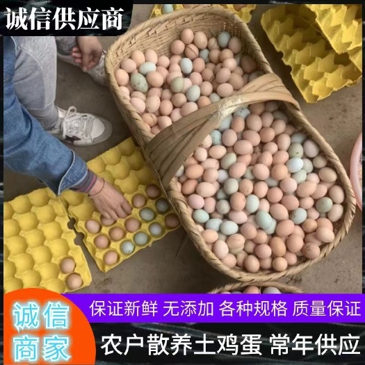 潜江市自家林下养殖的土鸡蛋，真正散养蛋，蛋黄一级棒，欢迎大家采购