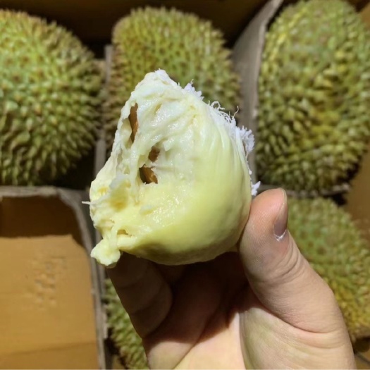 广州越南金枕。肉质没有泰国黄，但是死包很少！