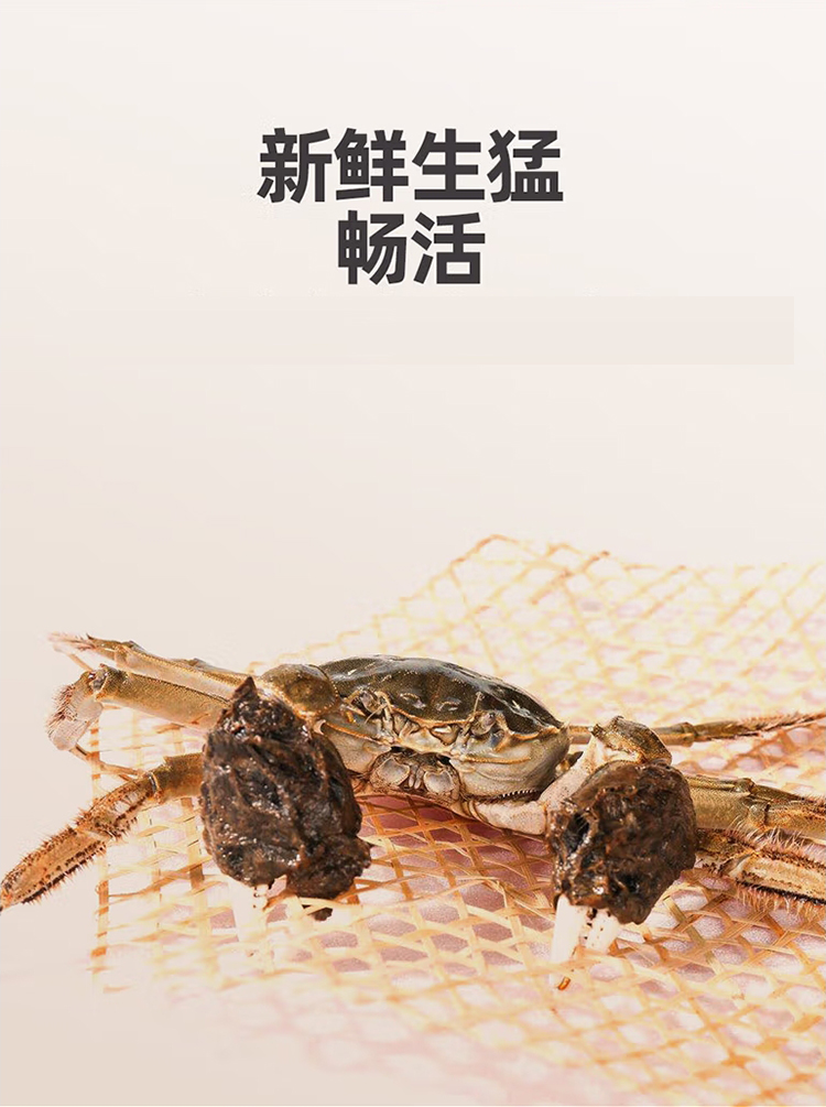 阳澄湖镇镇镇大闸蟹，蟹农直销，江苏大闸蟹礼盒装，中秋送礼佳品