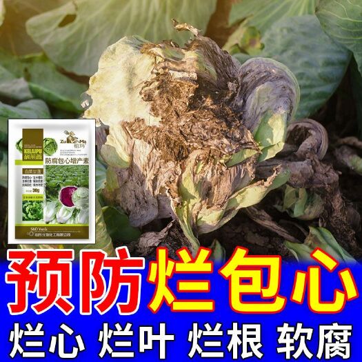 栾川县科莱普防腐包心剂白菜专用肥包菜娃娃菜甘蓝软腐病腐烂抗病增产肥