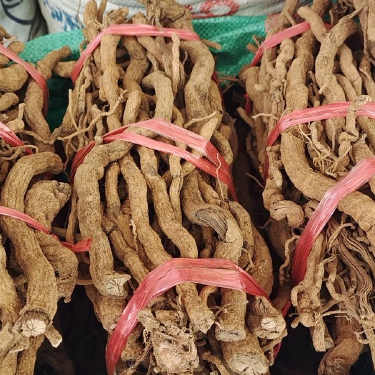 玉林海南胡椒根