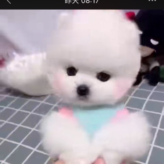 南昌俊介