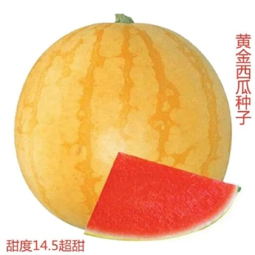 邵东市黄皮西瓜种子地雷瓜种籽树超甜麒麟8424甜王四季高产特大巨型