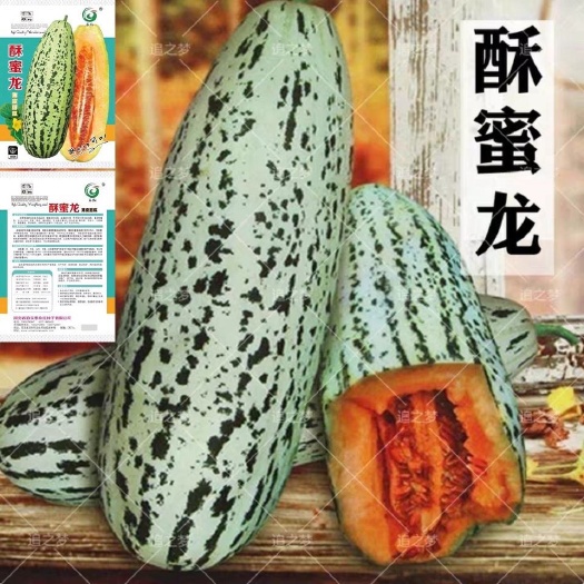 邵东市高产酥蜜龙甜瓜种子 甜早熟花皮牛角酥甜瓜种籽 特大水果种子
