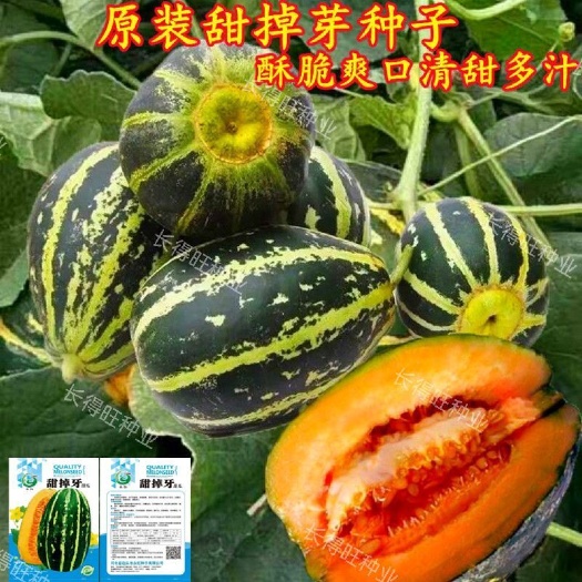 邵东市甜掉牙甜瓜种子薄皮超甜花皮香瓜籽四季水果种孑冰糖子春夏秋季