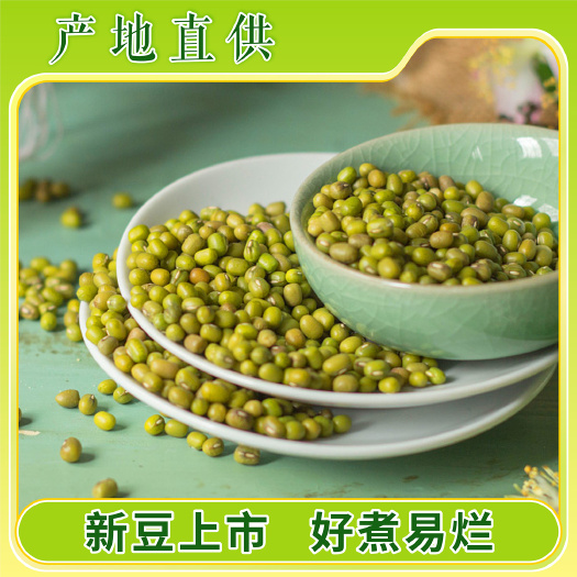 子洲县二级山地大绿豆农家肥料皮薄易出沙富硒地种植陕西特产可发豆芽