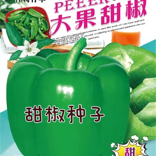 邵东市【大果甜椒】新一代青椒种子高产好吃甜椒辣椒蔬菜种籽四季播种