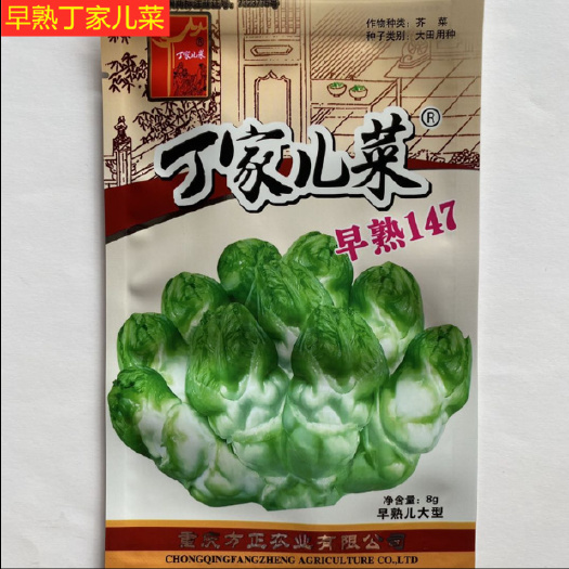 丁家儿菜种子早熟147杂交儿菜种子娃娃菜耐寒蔬菜基地高产优质