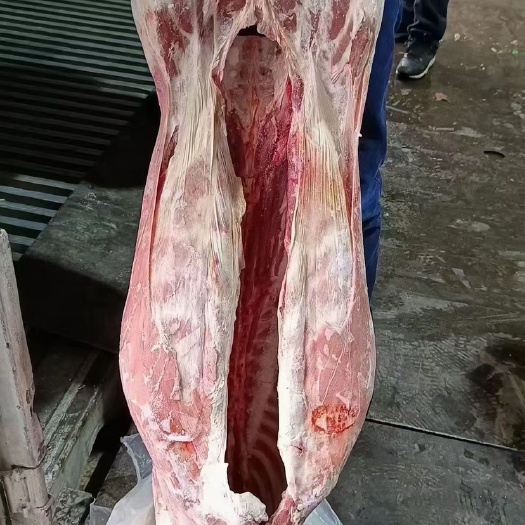 重庆市白条羊去皮，带皮都有