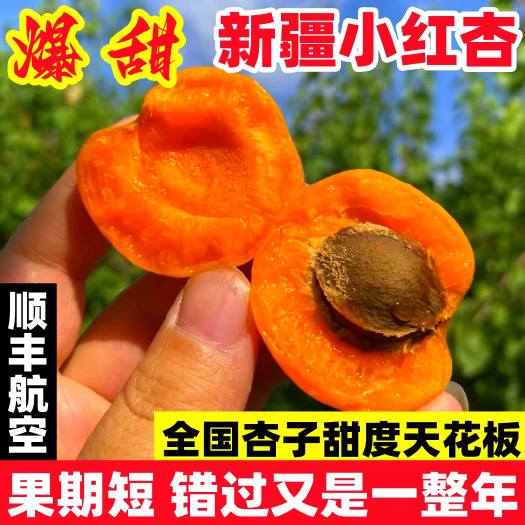 库车市新疆小红杏阿克苏吊干杏新鲜水果应当季整箱伊犁吊杆杏胜白杏