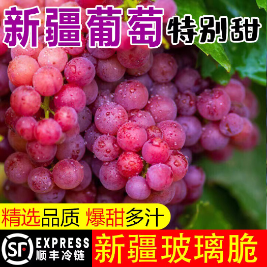 新疆玻璃脆葡萄玻璃翠新鲜水果当季整箱无核嘎嘣脆红提4斤顺丰