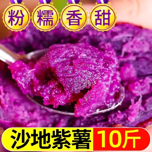 南宁紫罗兰蜜薯紫薯新鲜农家自种沙地现挖10斤糖心甜山芋番薯蔬菜地