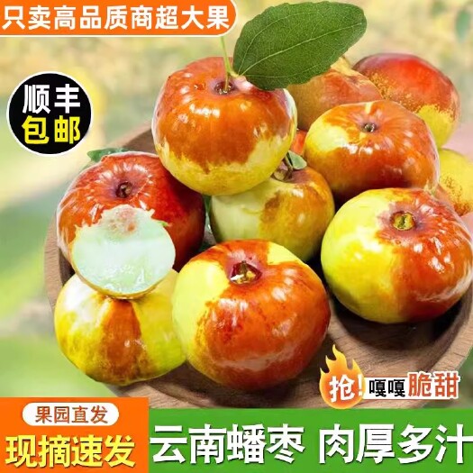 昆明云南蟠枣新鲜蜜罐枣子非大荔冬枣脆甜青枣大果当季孕妇水果整箱