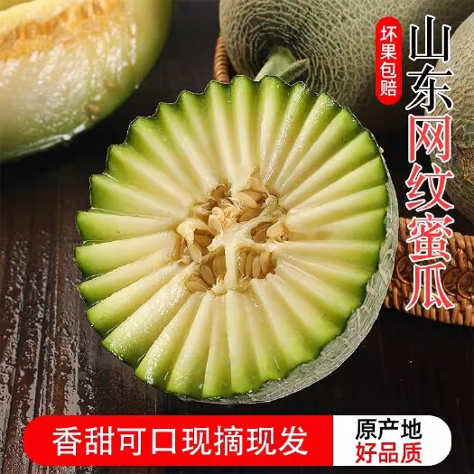 聊城山东网纹蜜瓜冰淇淋单果新鲜时令水果现摘现发整箱包邮
