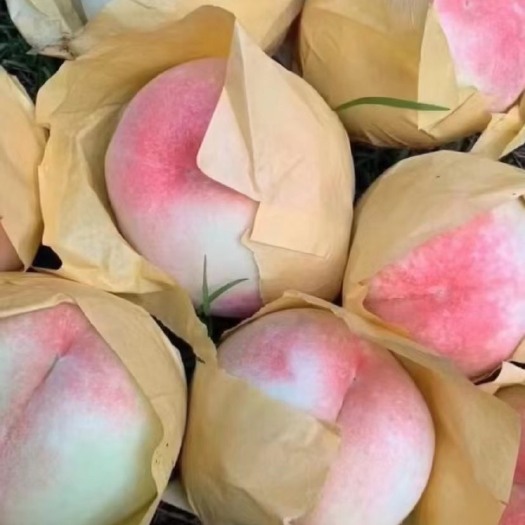 无锡无锡阳山水蜜桃