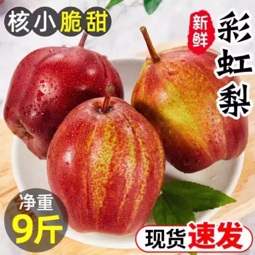 陕西新鲜彩虹梨酥梨水果早酥梨脆甜红皮薄皮鲜果梨子5斤整箱包邮