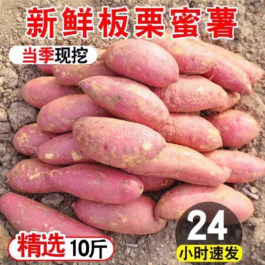 西安新鲜板栗红薯蜜薯沙地糖心地瓜农家自种番薯现挖烟薯香薯山