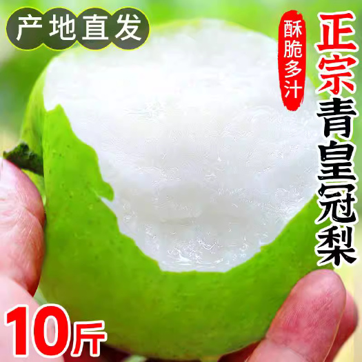 石家庄河北青皇冠梨梨子青梨10斤新鲜水果当季翠冠青酥蜜梨早雪梨整