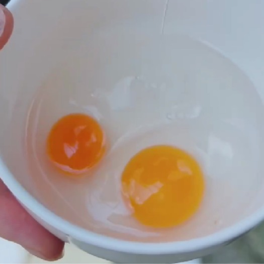 泸县青皮鸭蛋