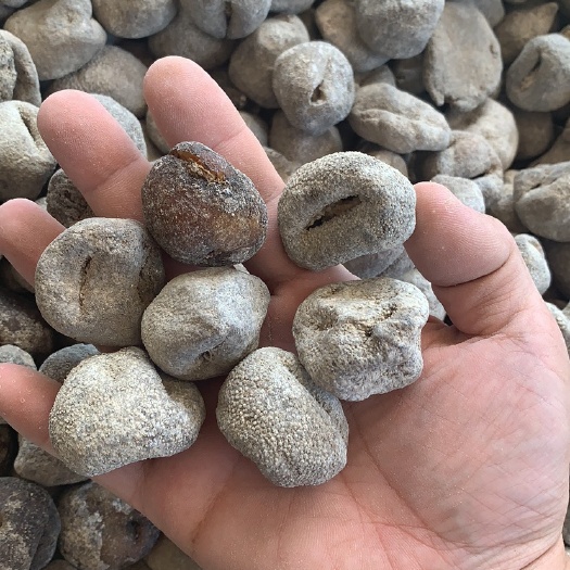 b货珍珠球海参35头印尼产地 泡发后可能有烂