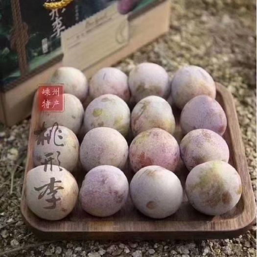 嵊州市嵊州金庭镇王羲之桃形李