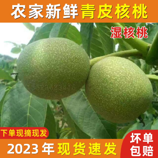 南宁2023新鲜青皮核桃嫩湿核桃绿皮孕妇生核桃带青皮现摘现发5斤