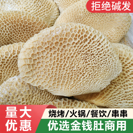 金钱肚新鲜冷冻牛肚商用半成品牛金钱肚整个蜂窝肚冰冻生鲜熟批发