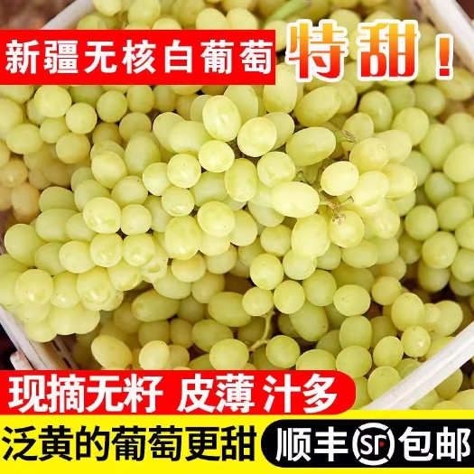 西安新疆葡萄吐鲁番无核白当季新鲜水果孕妇无籽青提葡萄整箱顺丰包邮