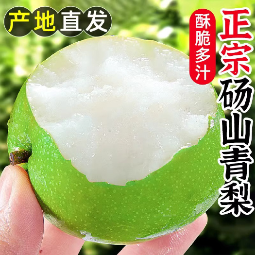 砀山县安徽砀山青梨皇蜜梨翠冠香梨整箱包邮当季新鲜水果早酥梨脆甜