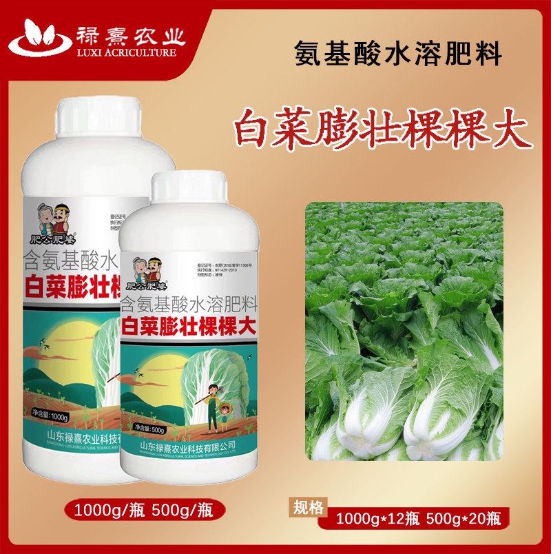 青州市肥化肥婆白菜膨壮棵棵大白菜专用加速包心叶片浓绿