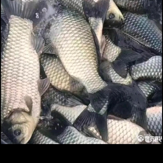 长沙中科三号