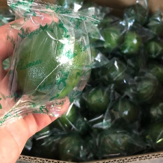重庆市北京青柠檬