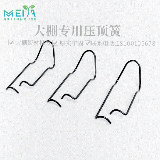 天津压顶簧