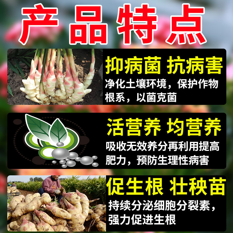 微生物菌剂批发]姜瘟灵姜瘟病净专用药生姜病全管黄叶烂脖子根腐茎腐