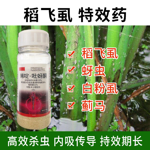 80%烯啶吡蚜酮花卉果树水稻蔬菜烯啶虫胺蚜虫稻飞虱蓟马杀虫剂