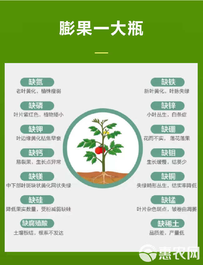 膨果转色提品质套餐磷酸二氢钾芸苔素甾醇膨果一大瓶钙镁硼铁锌