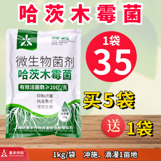 潍坊奥丰20亿哈茨木霉菌 抗重茬防根腐死棵烂根抑菌防病