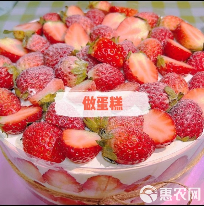 云南夏季草莓9.5斤网套果基地现货直发糖葫芦专用 一件代发