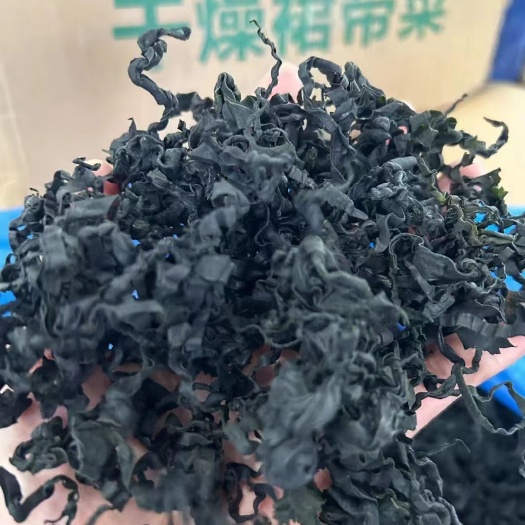 湛江裙带菜L号特大号