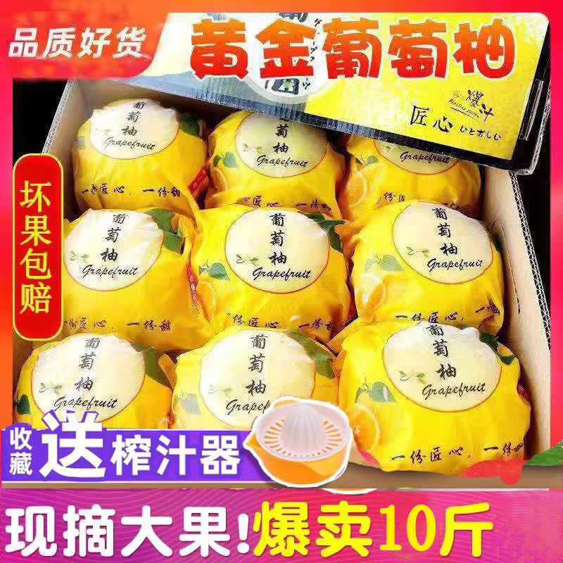 兰溪市（低至19.9）黄金贡柚葡萄柚新鲜水果福建平和柚子甜多汁