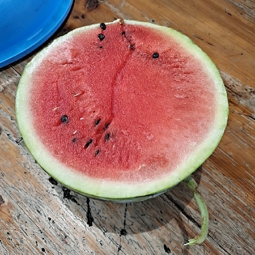 麒麟瓜