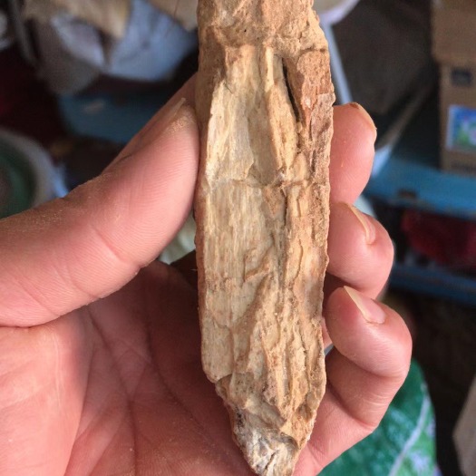 呼和浩特龙骨最多