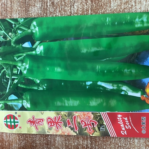 惠州青果二号大果尖椒种子