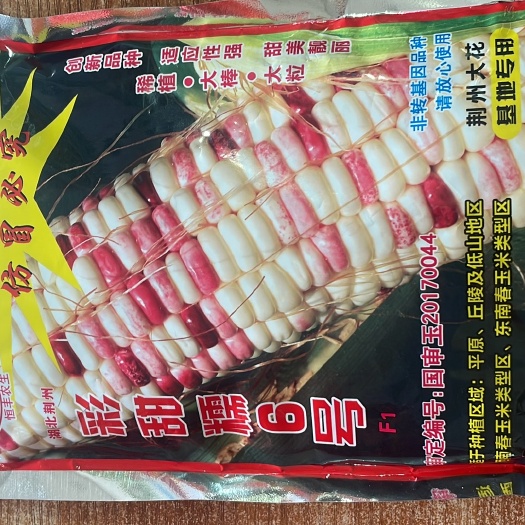 惠州彩甜糯6号糯米玉米种