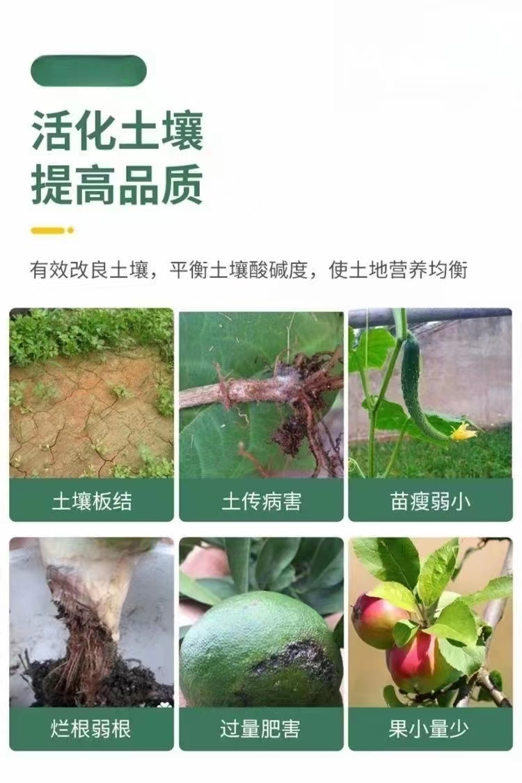 20亿微生物菌剂改良调节土壤提高作物生根壮根缓解药害