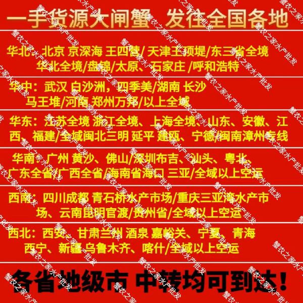 现货江苏大闸蟹母蟹螃蟹供酒店、零售店、自助餐饭店、批发市场