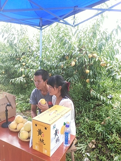 三穗县深山绿色黄桃，口感好。