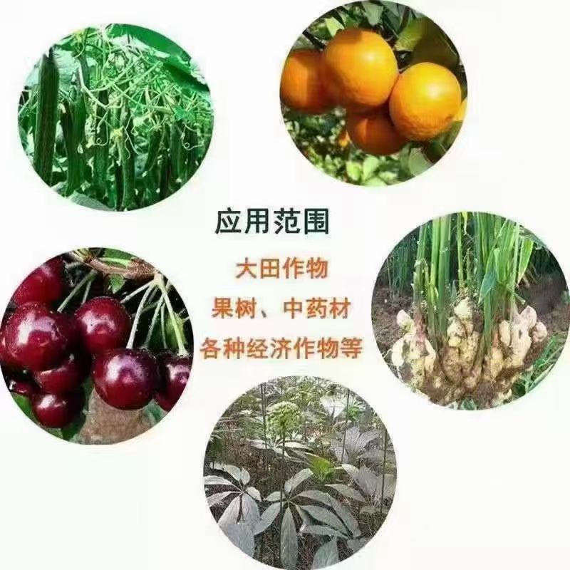 20亿微生物菌剂改良调节土壤提高作物生根壮根缓解药害