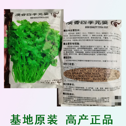 武汉批发香菜籽种四季老品种蔬菜盆栽种籽香菜籽种孑大全四季大芫荽籽