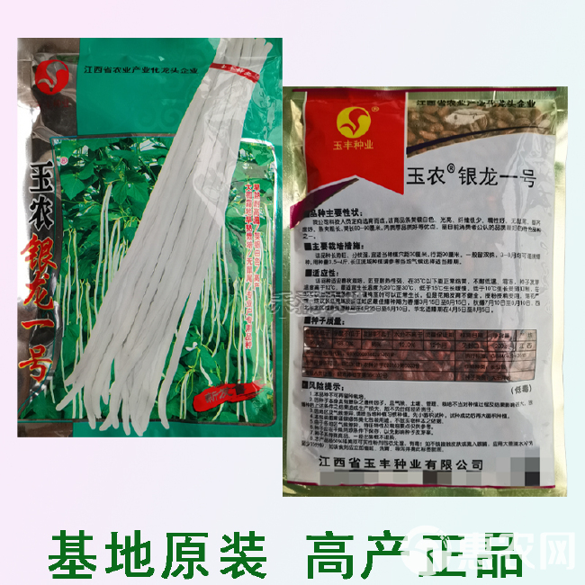 银龙一号白豆角种子白长豆角春夏秋播白玉长豇豆易种蔬菜孑